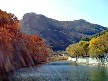 管家婆黑白马报图库，丙烷报价